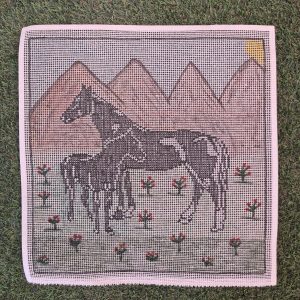 5 Esterilla Caballos