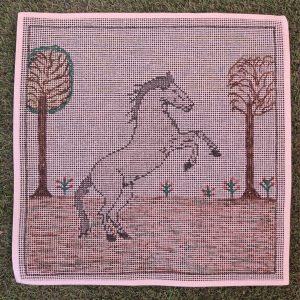 6 Esterilla Caballo 1